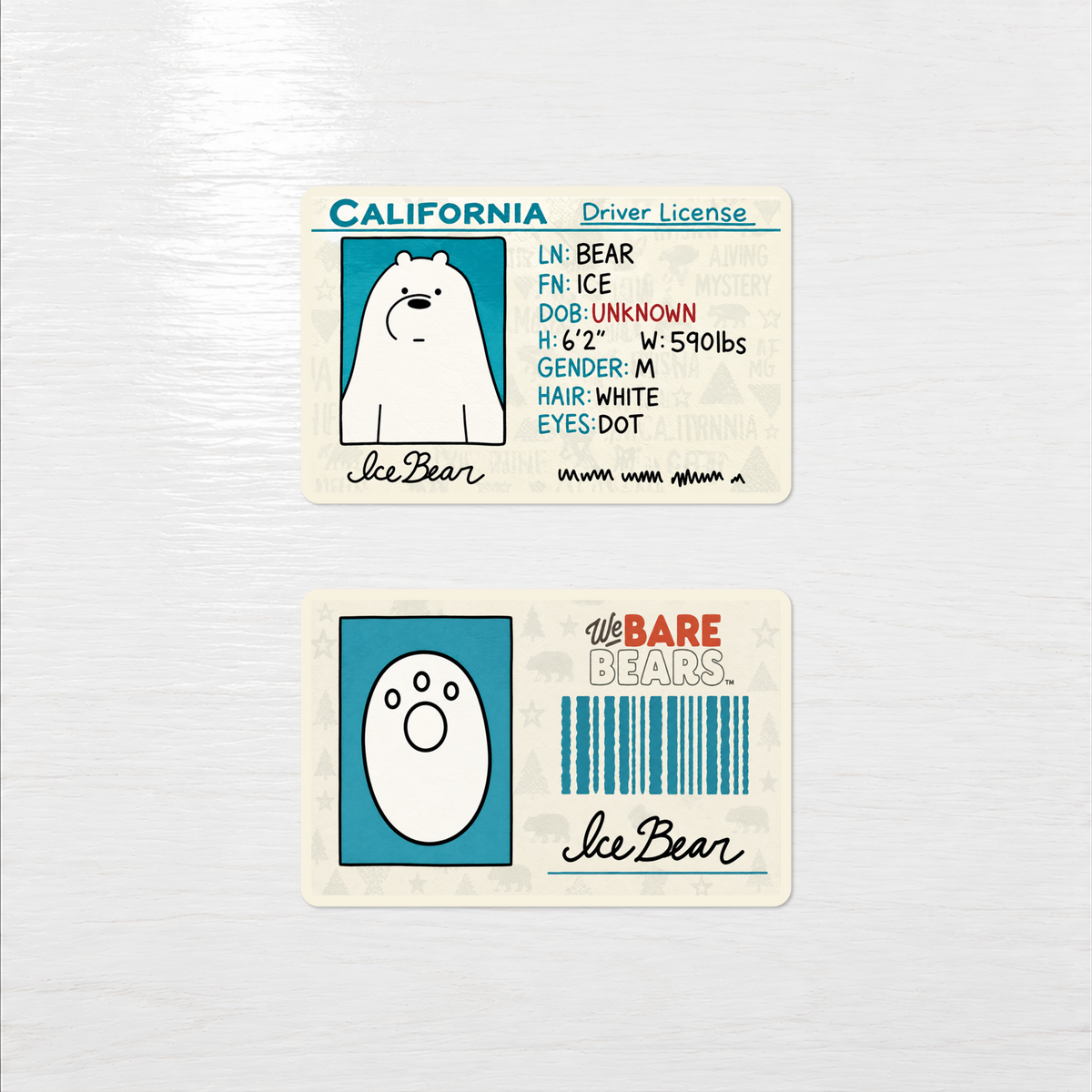California Driver License